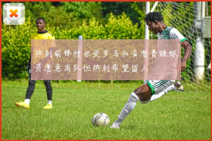 热刺前锋特尔受罗马和黄潜青睐球员愿意离队但热刺希望留人