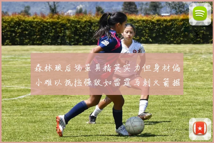 森林狼后场虽具精英实力但身材偏小难以抵挡强敌如雷霆马刺火箭掘金