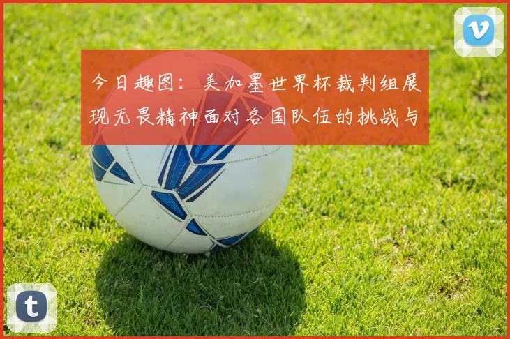 今日趣图：美加墨世界杯裁判组展现无畏精神面对各国队伍的挑战与针对