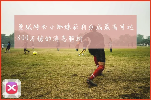 曼城转会小蜘蛛获利分成最高可达800万镑的消息解析